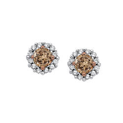 Diamond Halo Earrings with Brown Center Diamond in 10K White Gold (1/2 cttw)