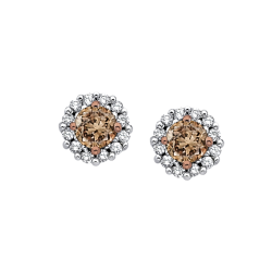 10K White Gold, Diamond Fashion Earrings with Brown Center Diamond (1 cttw)